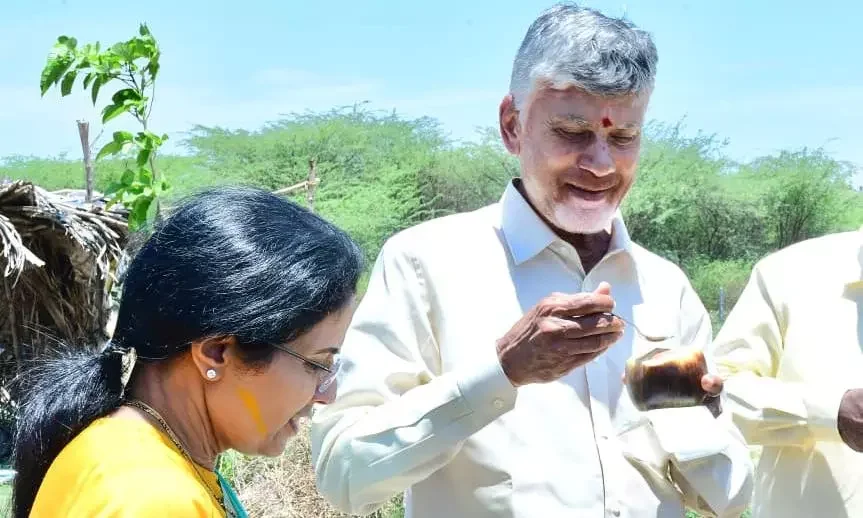 N. Chandrababu Naidu Stops Convoy in Kuppam to Enjoy Seasonal Tati Munjalu