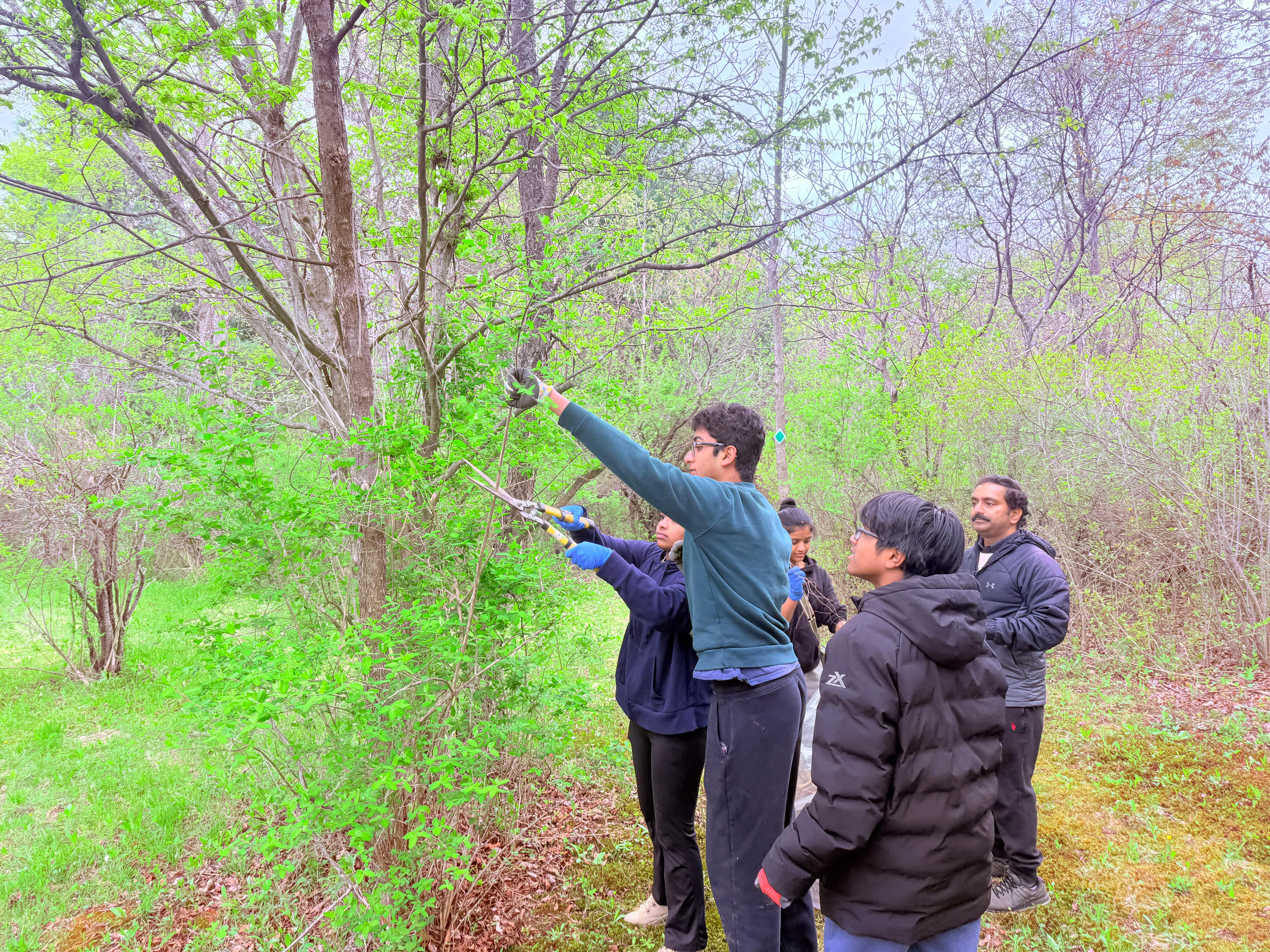 MATA Community Services Expands Impact with Successful Adopt-A-Park Event in Albany, NY (8)
