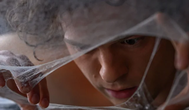 'Spider-Man: Brand New Day' Continues Box Office Rampage, Nears ₹350 Crore in Just 6 Days