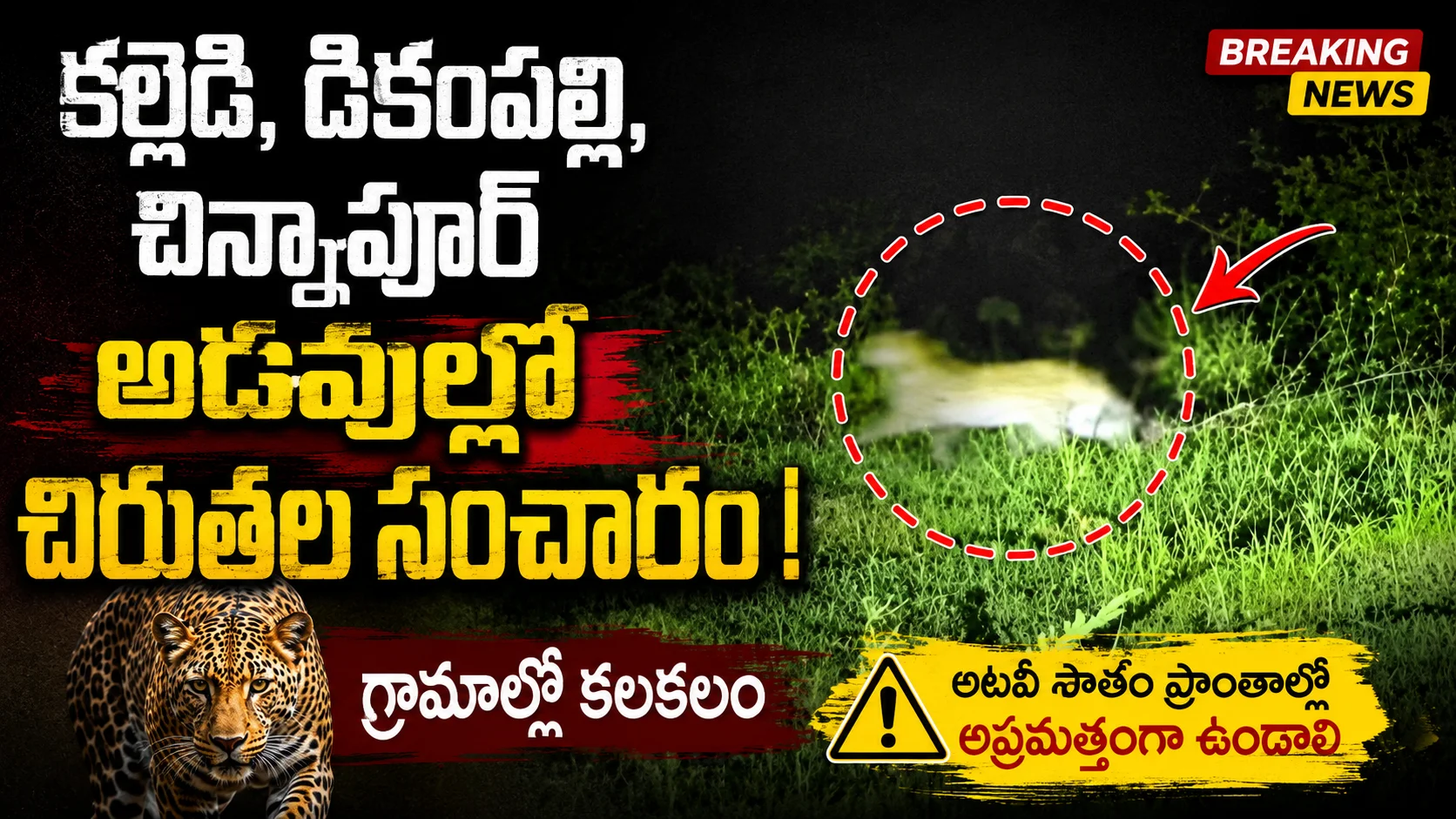 Leopard Movement Reported in Forest Areas of Kalledi, Dikampally and Chinnapur